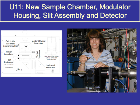 Denise Monteleone at the U11 beamline